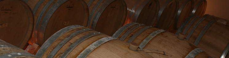 Illustration comprenant des barriques alignées au domaine Pech-Tort